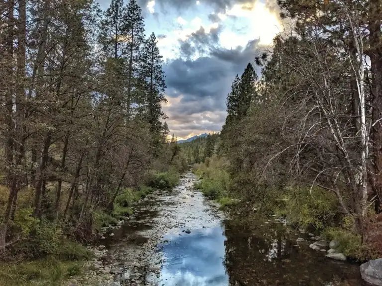 Scenic view of East Fork Scott River flowing through forested landscape.