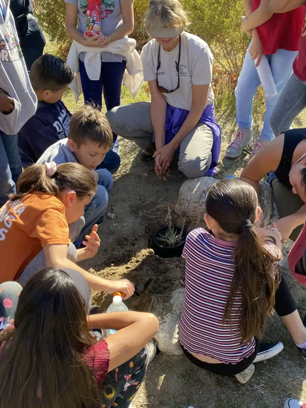 Children planting a young tree during an outdoor educational activity.