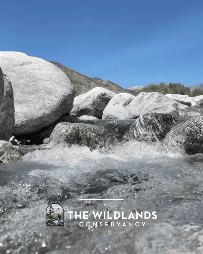 Scenic view of river rocks and flowing water at The Wildlands Conservancy.