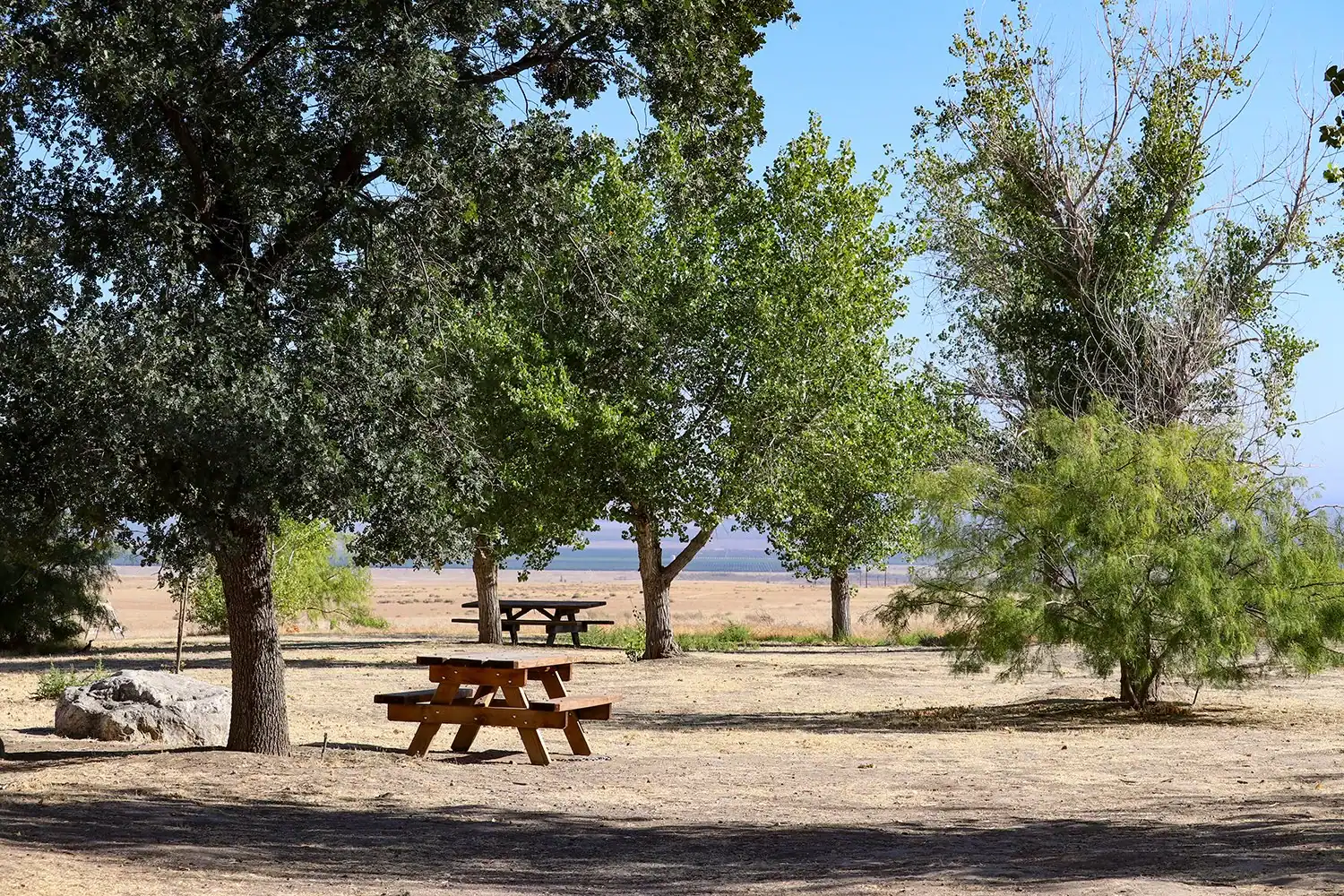 A lush green park with picnic tables under large trees, overlooking a body of water on a sunny day.