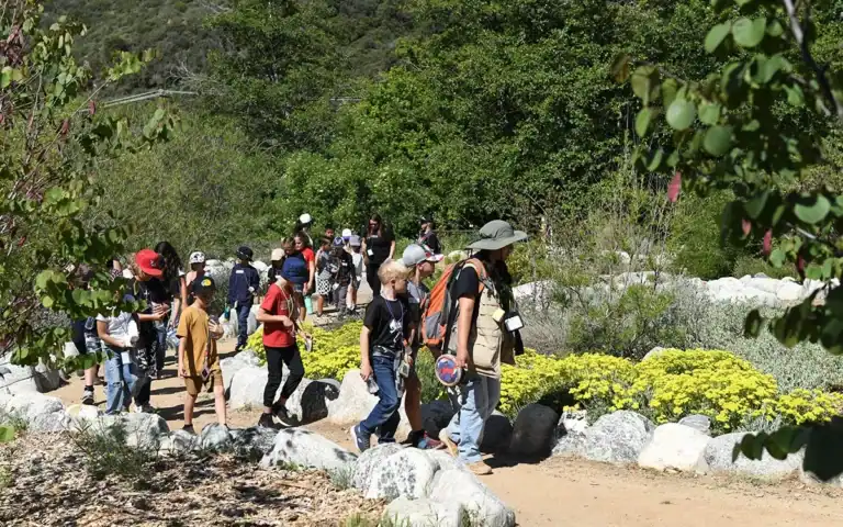Wildflower Bloom at Oak Glen Preserve