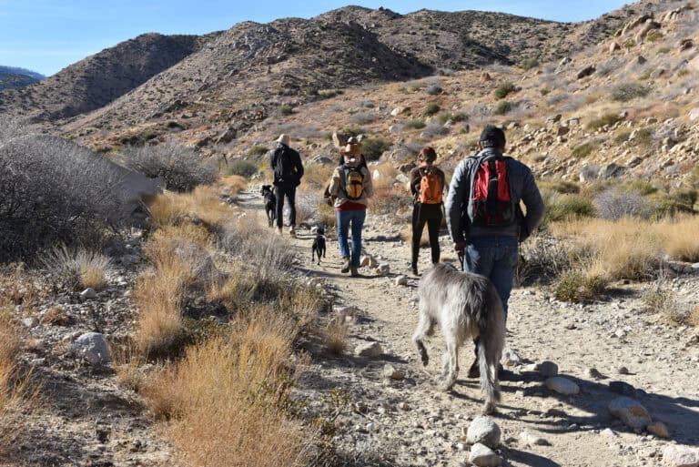 Wildlands Conservancy hiking group in desert landscape