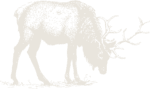 Silhouette of a deer with antlers in a natural setting.