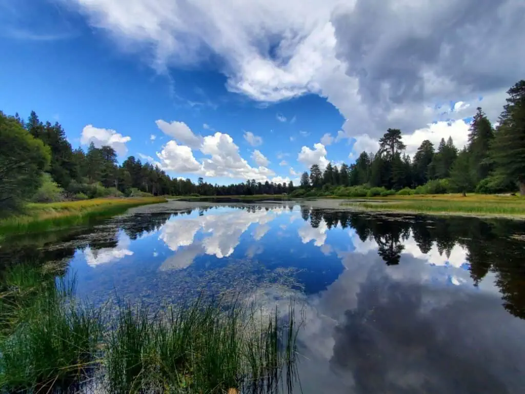 Beautiful lake surrounded by trees with a blue sky and clouds reflected in the water.