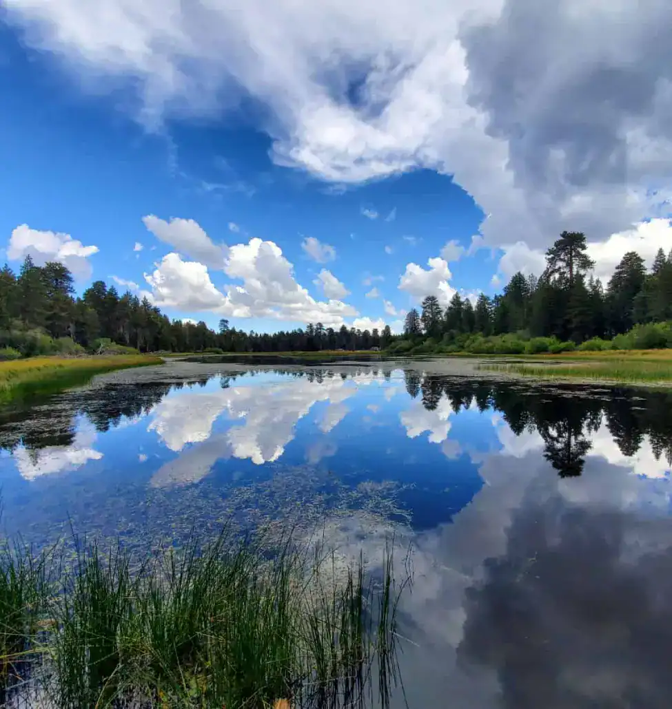 Beautiful lake surrounded by trees with a blue sky and clouds reflected in the water.