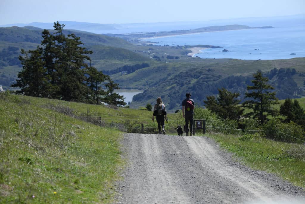 People hiking on a scenic trail overlooking the ocean and lush green hills.