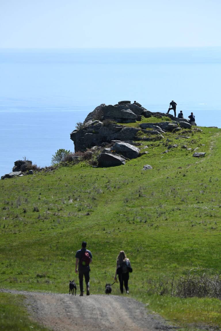 People enjoying scenic view at coastal cliff with ocean backdrop.
