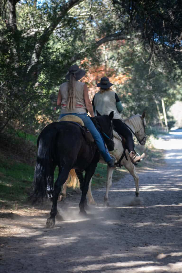 Horseback riding in nature at Wildlands Conservancy.