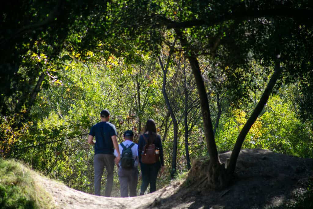 Group of three people hiking through a lush, green forest trail.