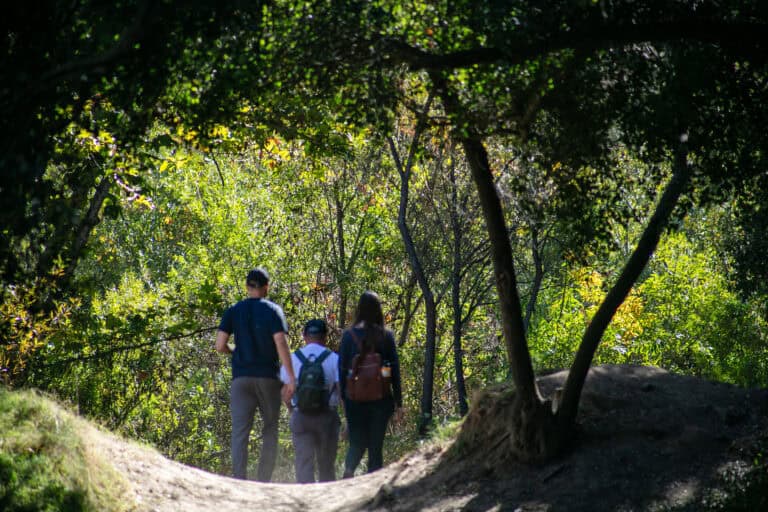 Group of three people hiking through a lush, green forest trail.