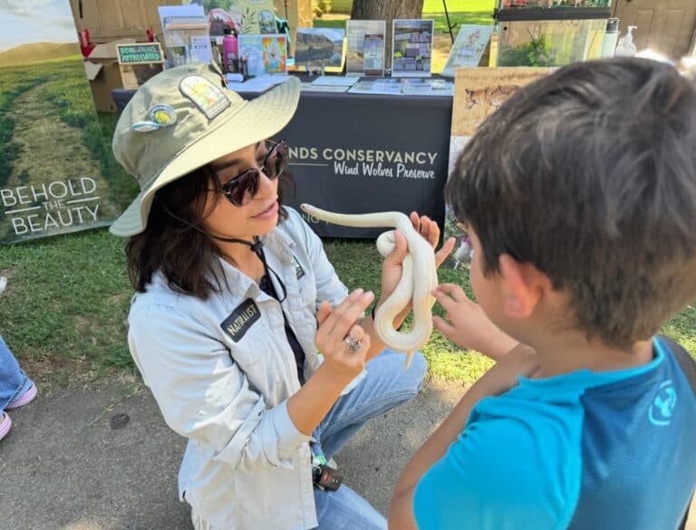 The Wildlands Conservancy staff member showing a snake to a young visitor at an outdoor event.