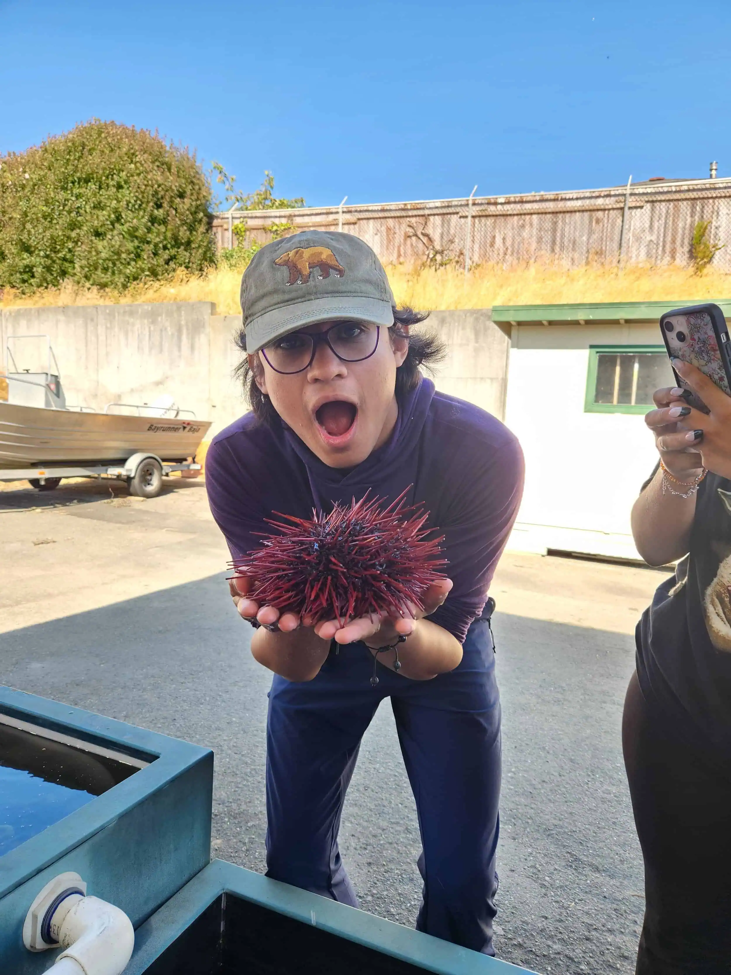 Woman holding a sea urchin outdoors during a conservation event.