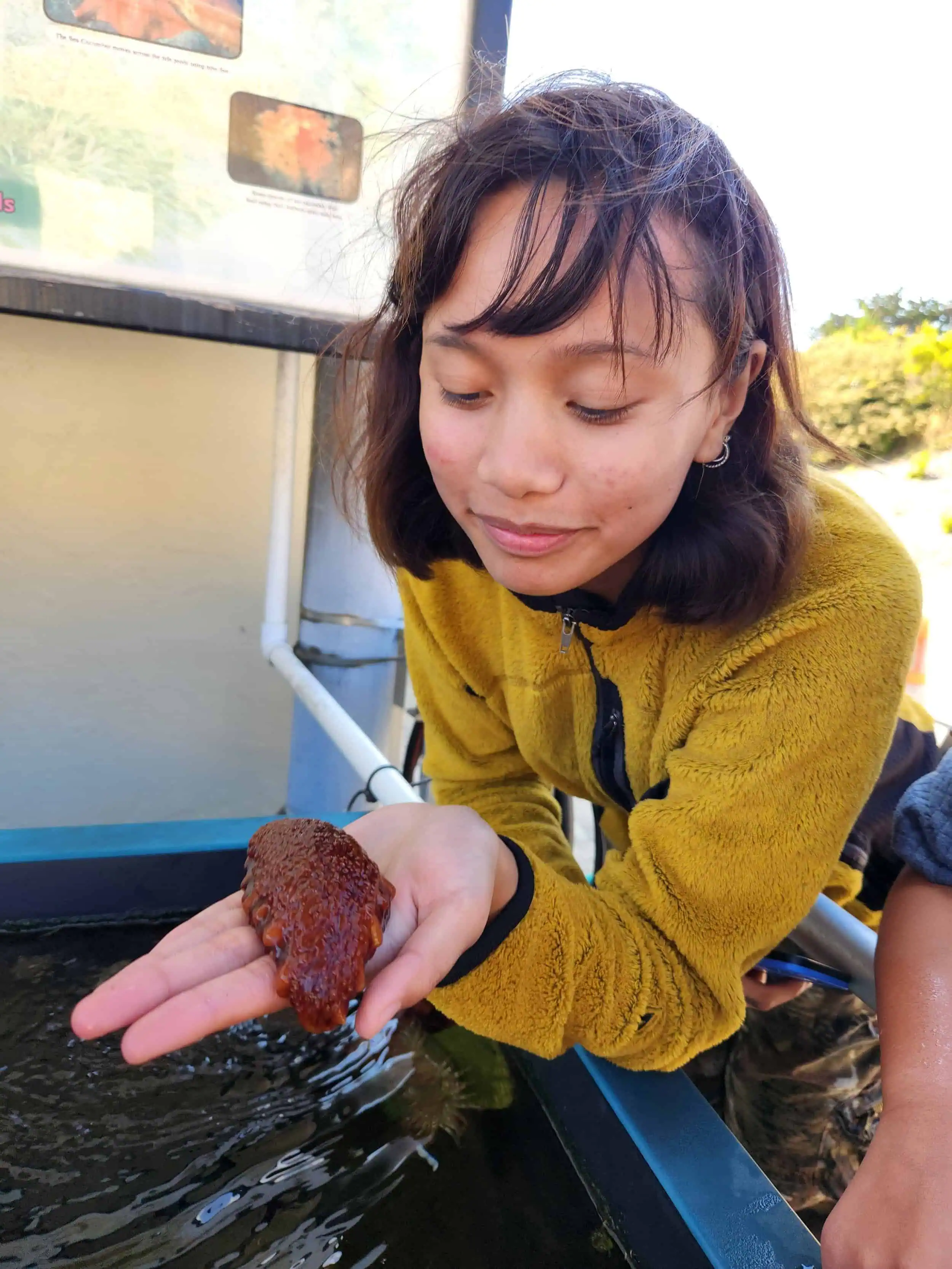 Young girl observing a fish at a nature center with a pond.