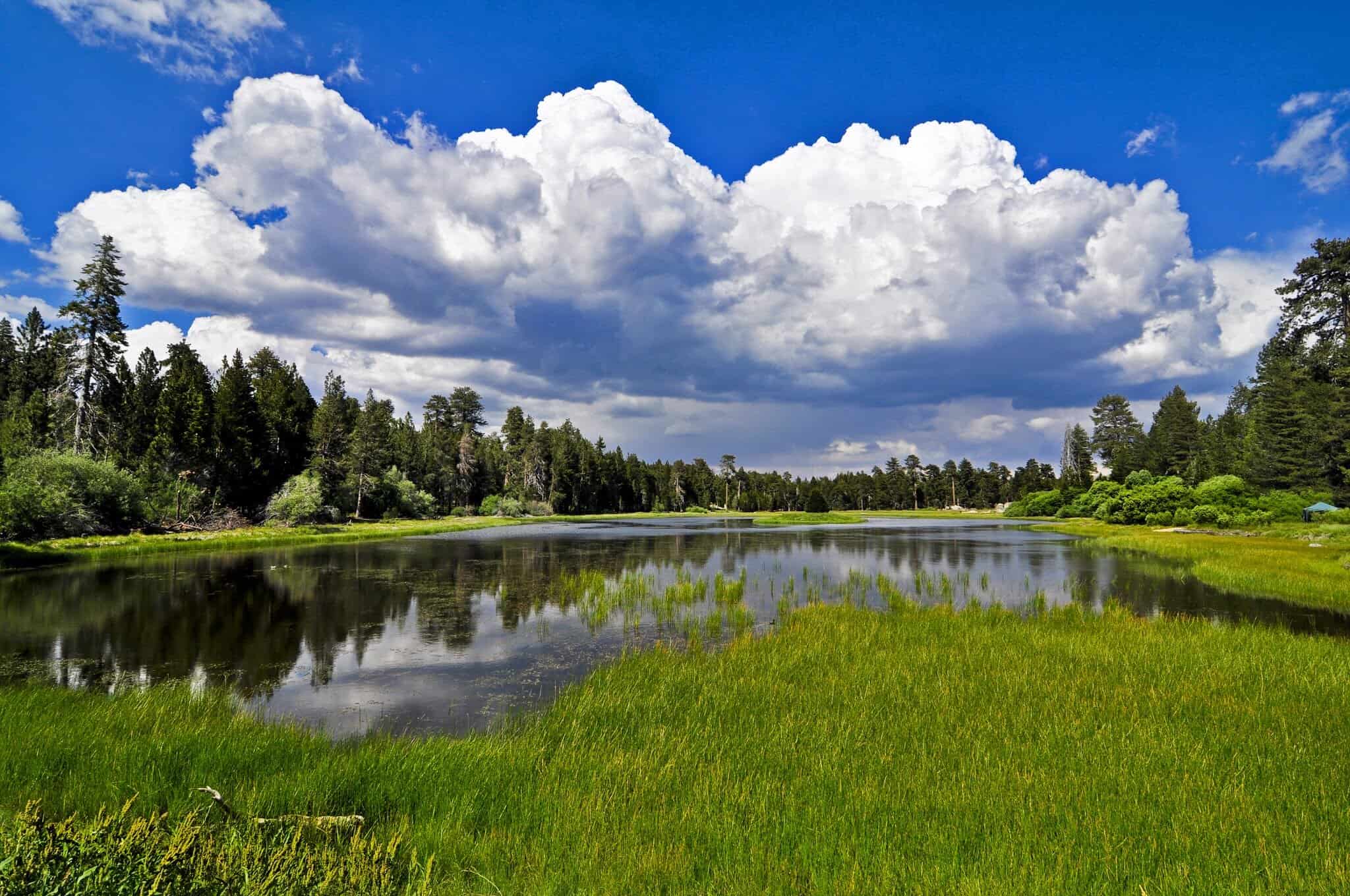 Scenic view of Bluff Lake with lush greenery and a bright blue sky.