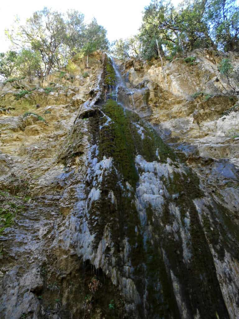 Waterfall in Nature Reserve