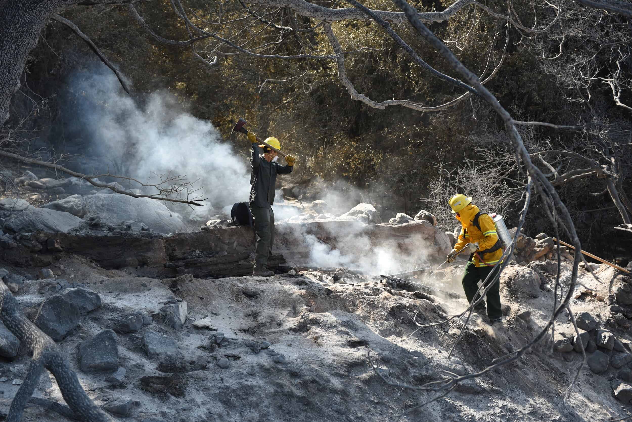 Firefighters control wildfire in natural landscape with smoke and trees.
