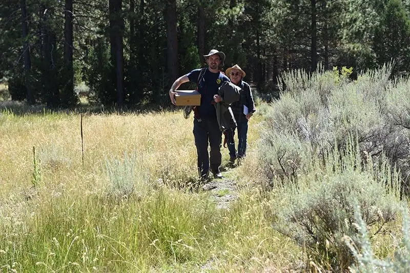 Two people hiking through a grassy meadow in a forested area.