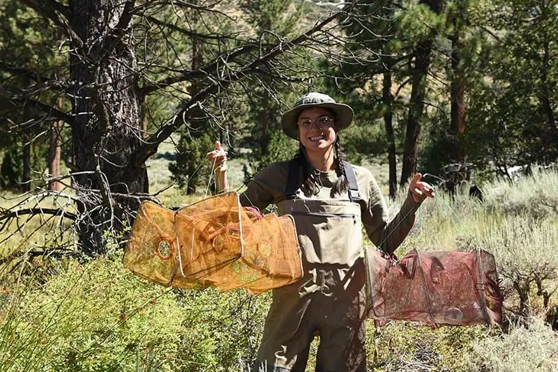 Volunteer holding insect traps in forest for conservation research.