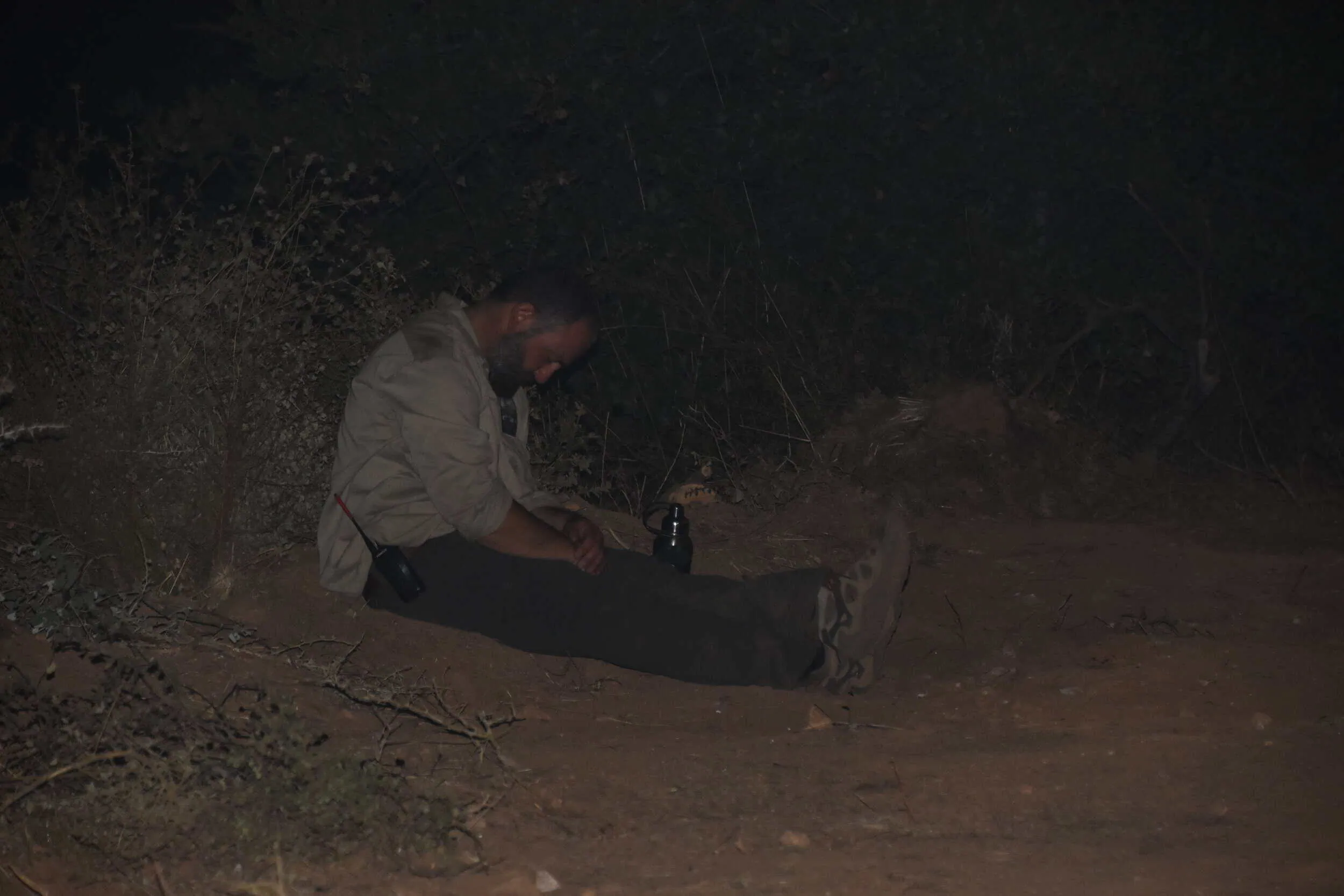 Person sitting on ground at night in wilderness area.