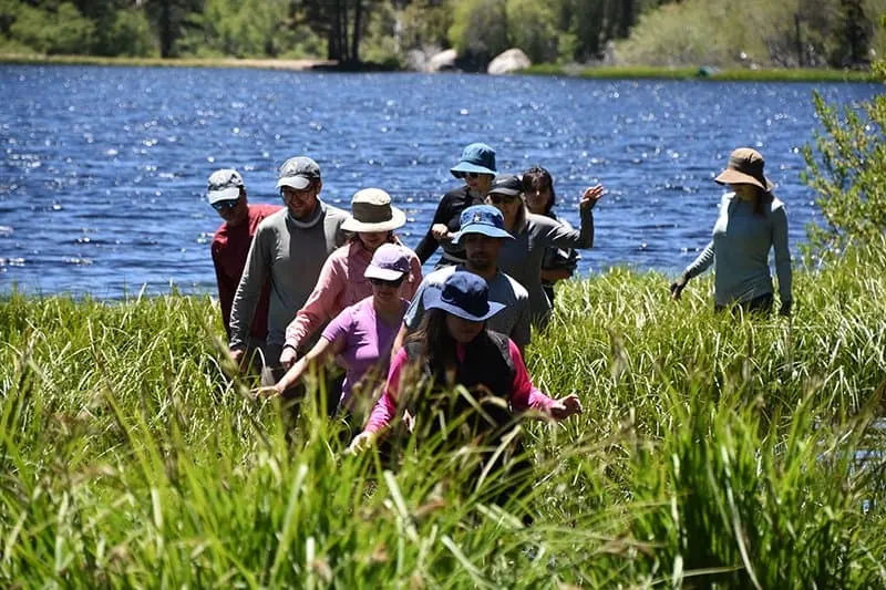 Group of people exploring wetlands near a lake with tall grass and trees.