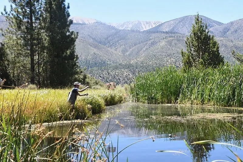 Putting the Wild Back in Wild Lands