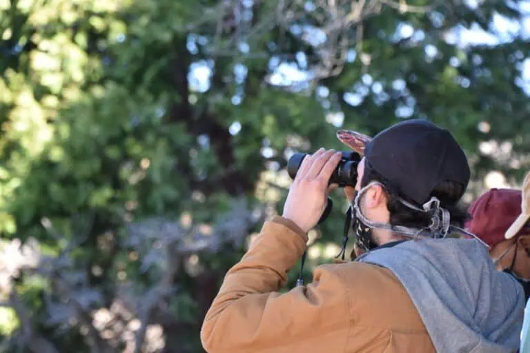 Wildlands Conservancy Nature Observation