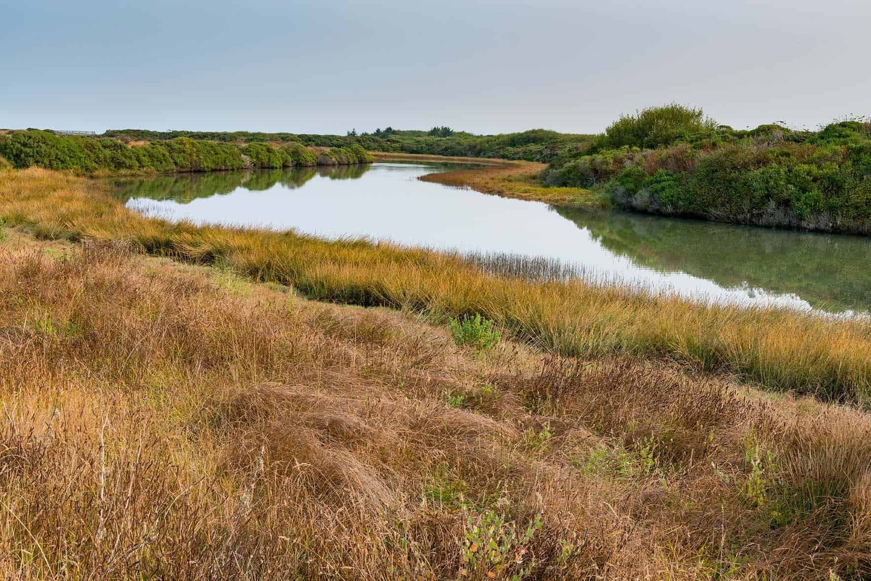   Eel River Estuary Preserve. Photo by Jeremy Long Photography.  