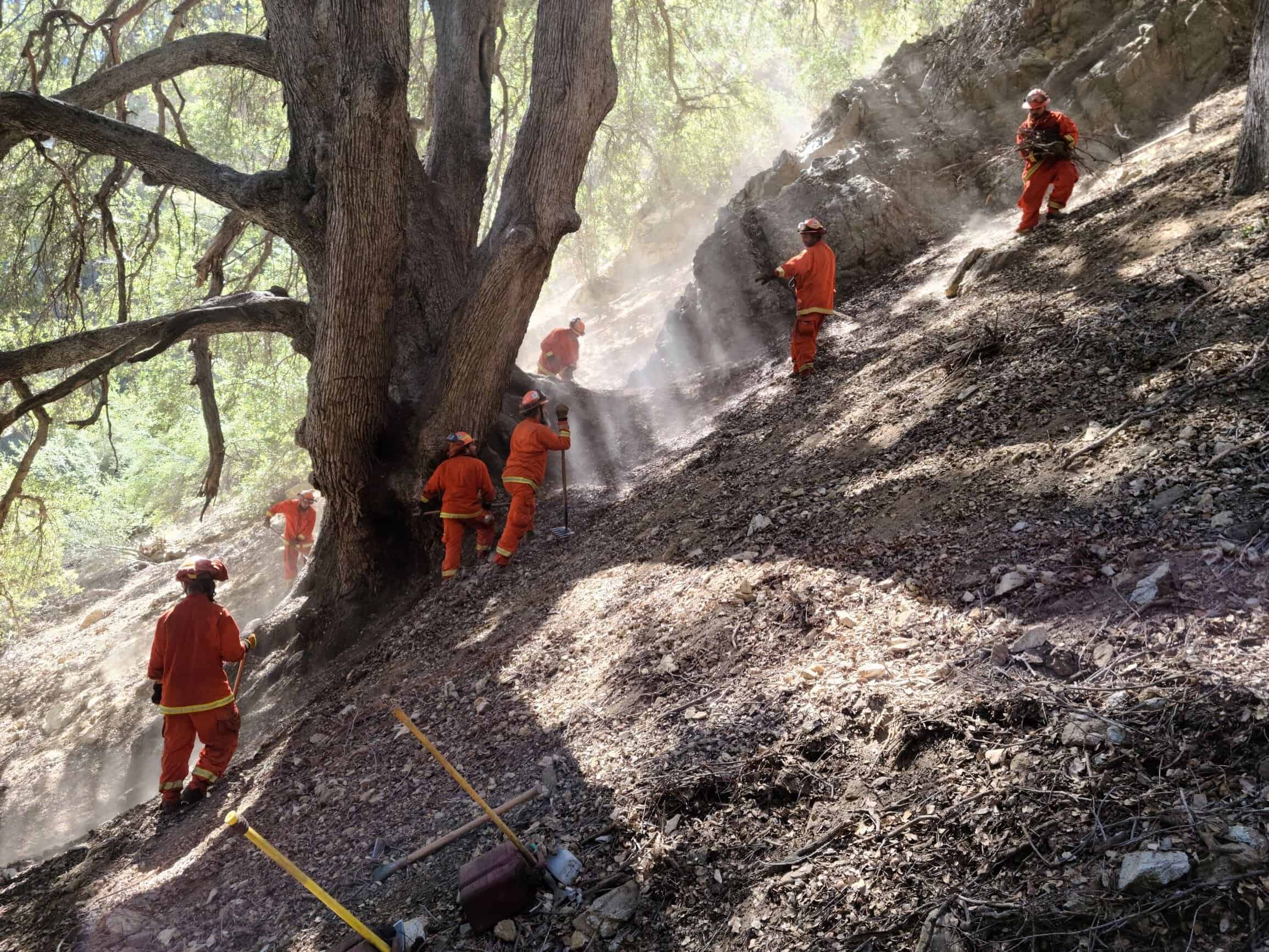 Firefighters work on a hillside to control a wildfire in a forested area.