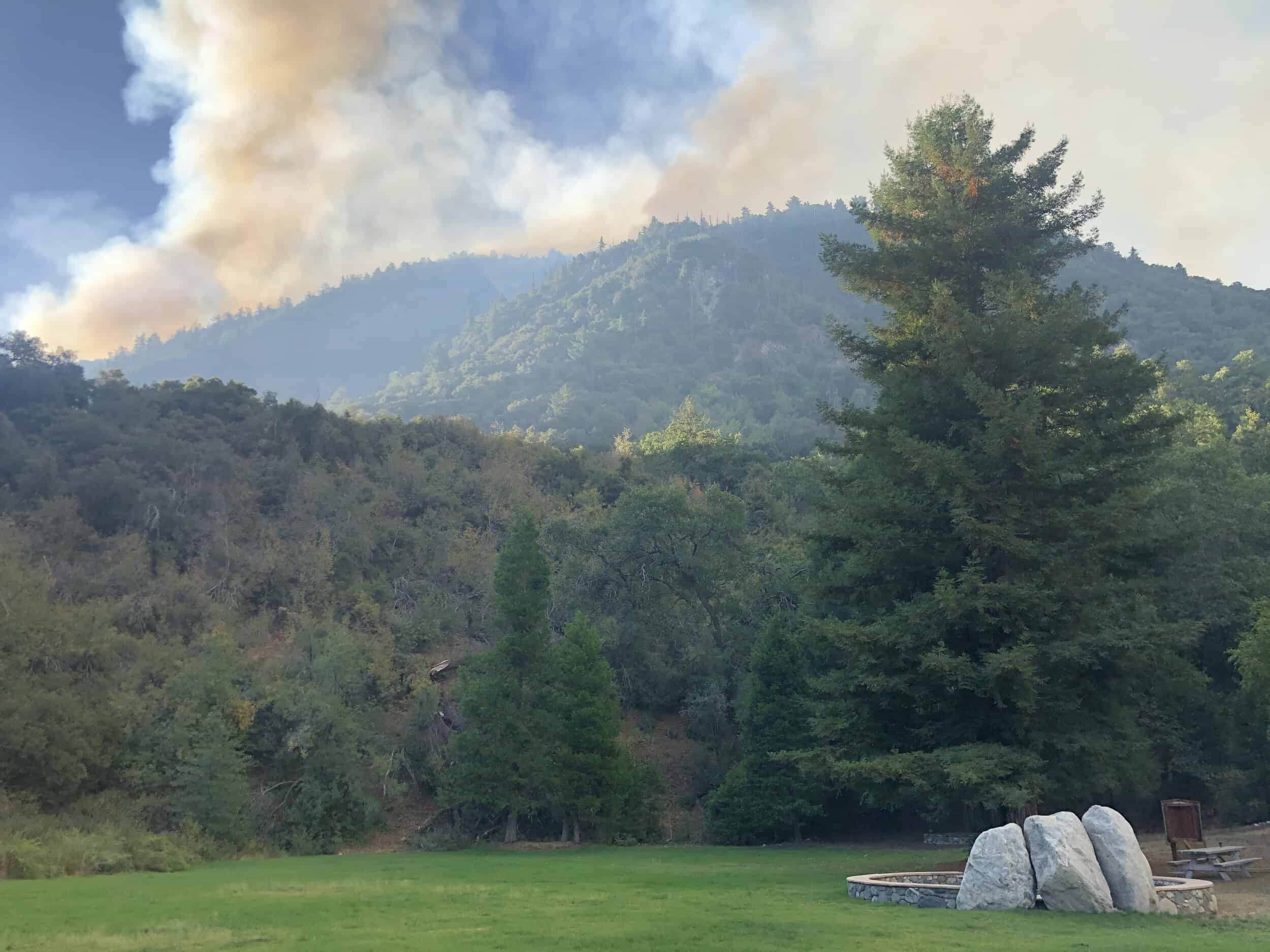 Forest fire smoke rising over green trees and mountains.