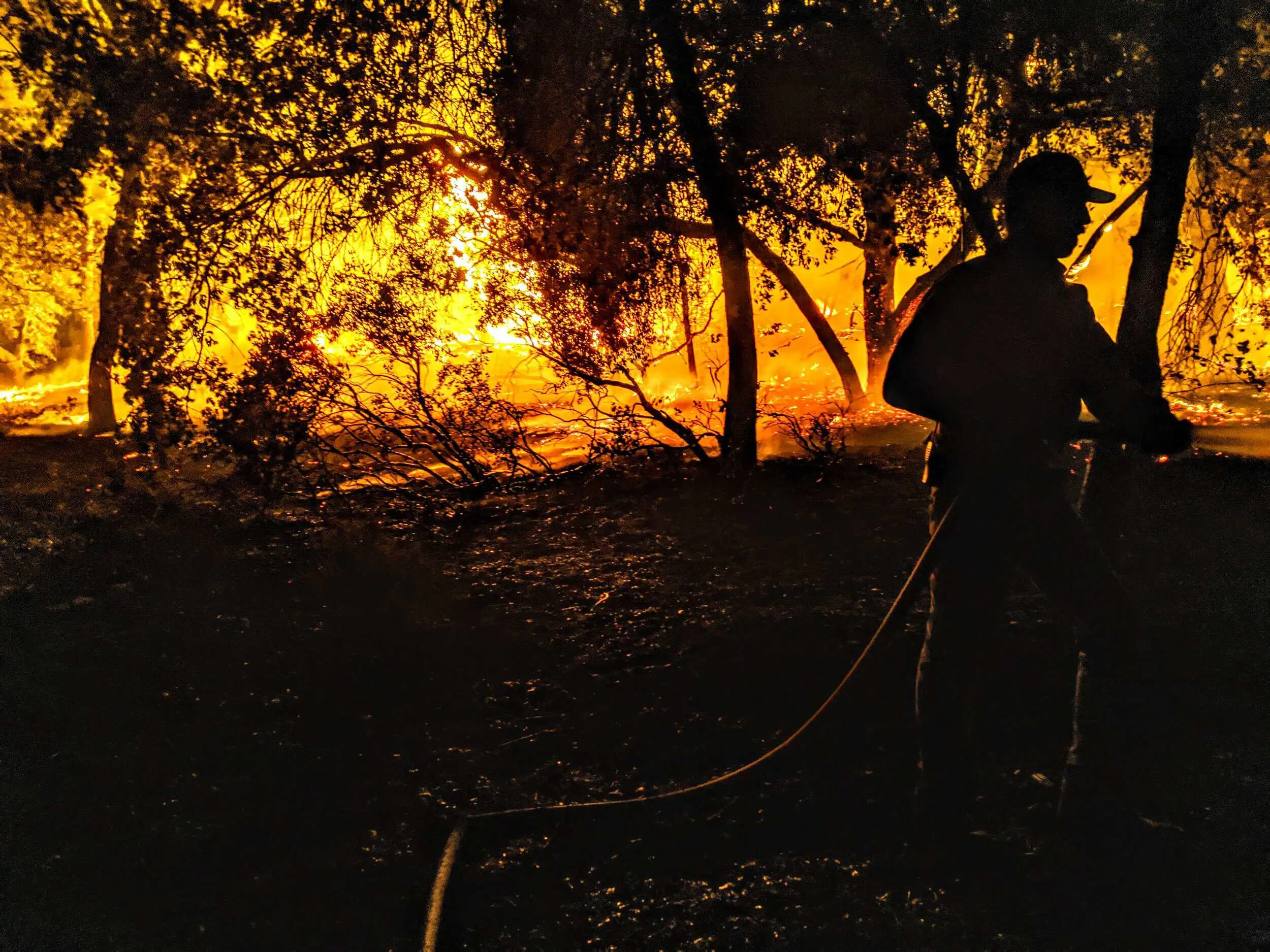 Saving the Beauty of wildlands preserves
