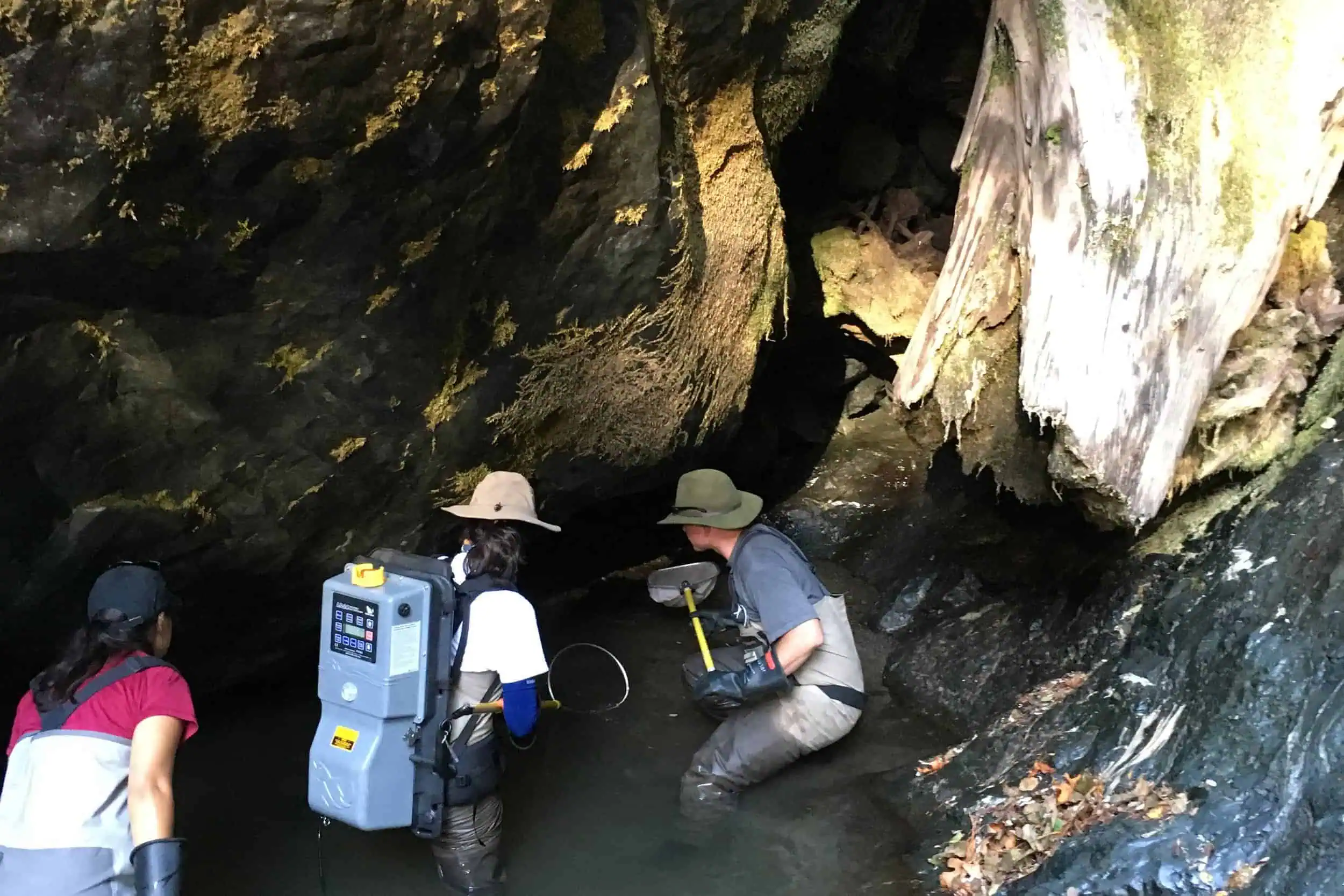 Scientists studying fish habitat at Jenner Headlands Preserve in a rocky stream.