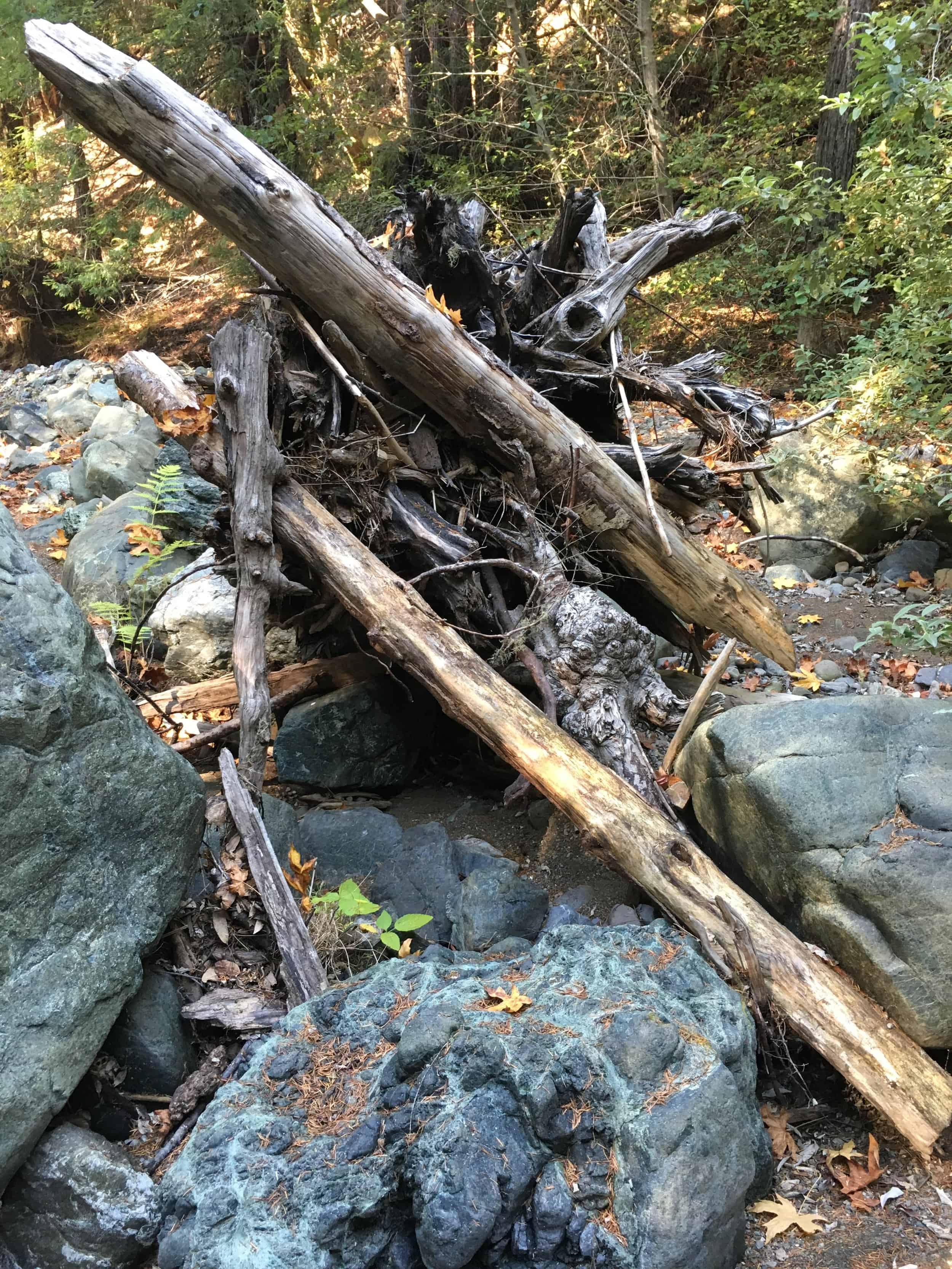 Fallen logs and rocks in a forest stream for habitat restoration.