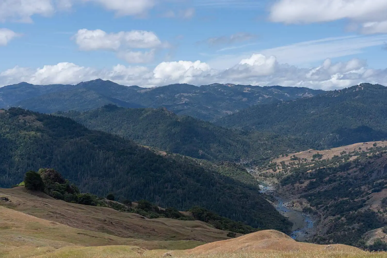 Eel River Canyon Preserve Landscape