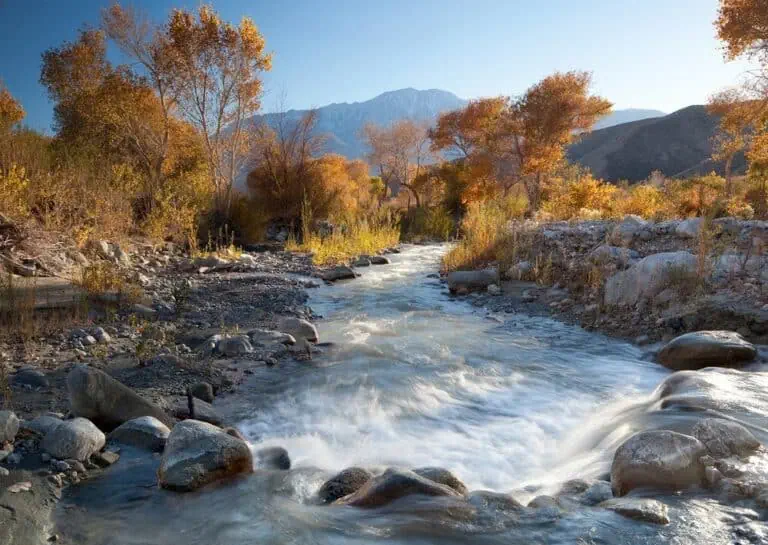Desert River in Autumn
