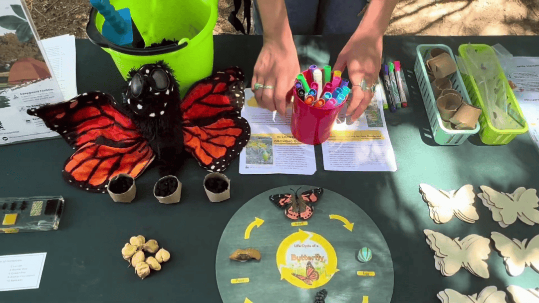 Butterfly craft with markers and natural materials at Buzz and Bloom Ed. Station.