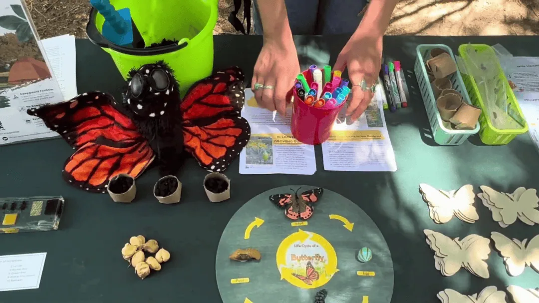 Butterfly craft with markers and natural materials at Buzz and Bloom Ed. Station.