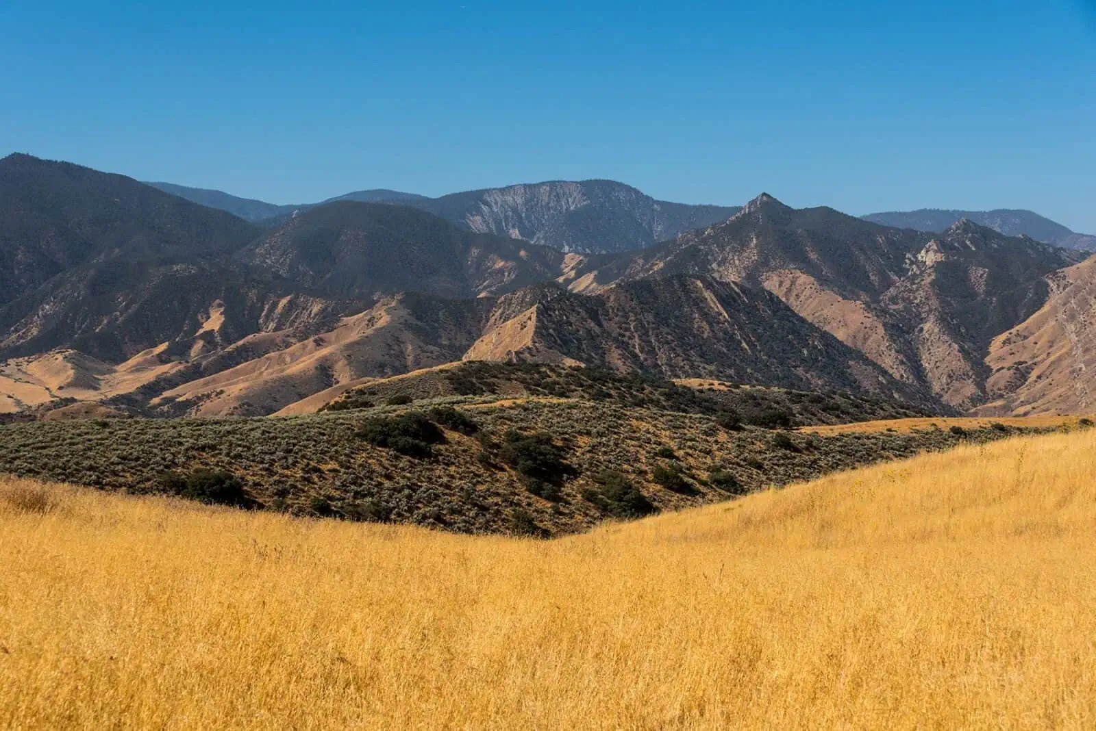 Wind Wolves Preserve Landscape