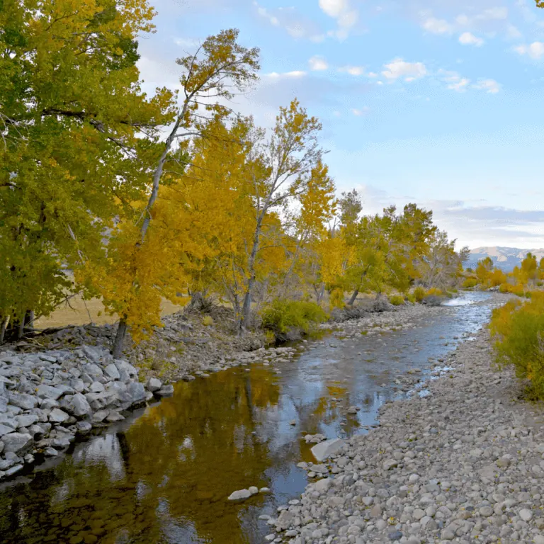 Scenic River at The Wildlands Conservancy