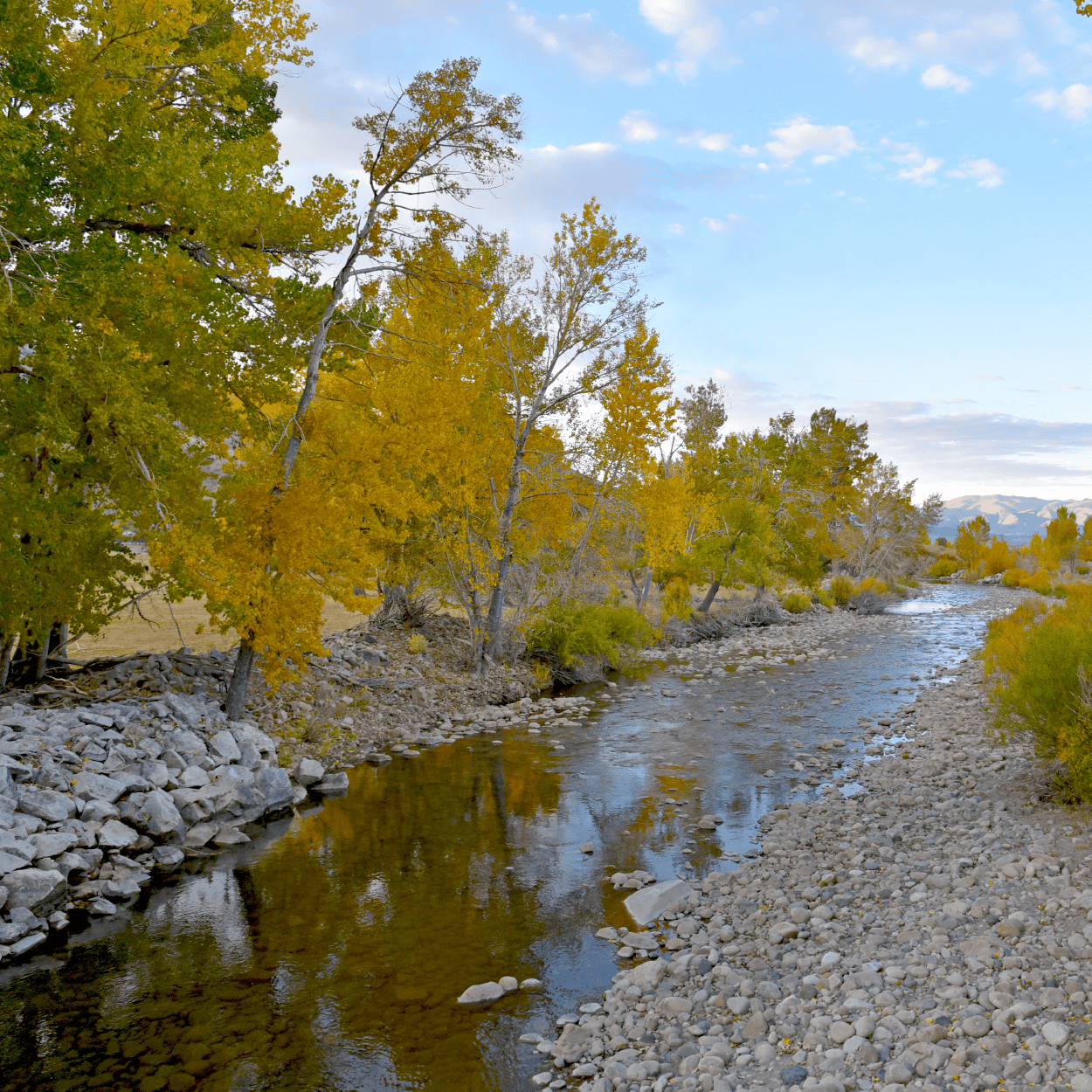 Scenic River at The Wildlands Conservancy