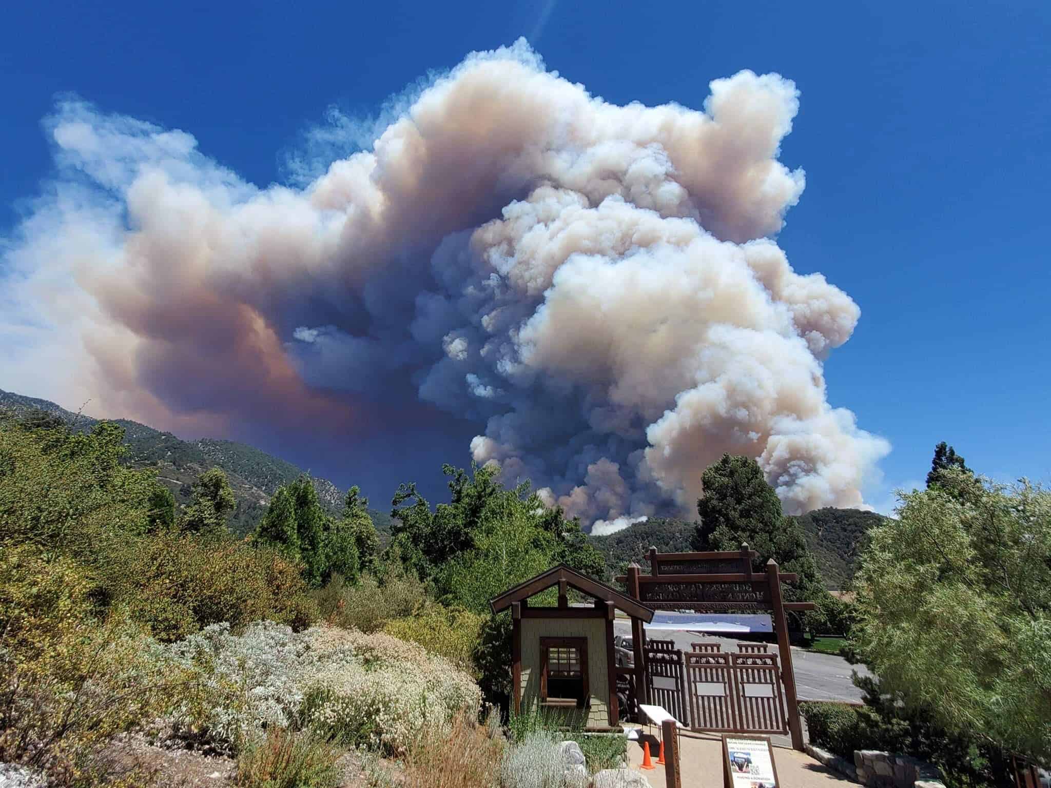   The Apple Fire burns toward Oak Glen Preserve in early August. Photo by John Trammell. 