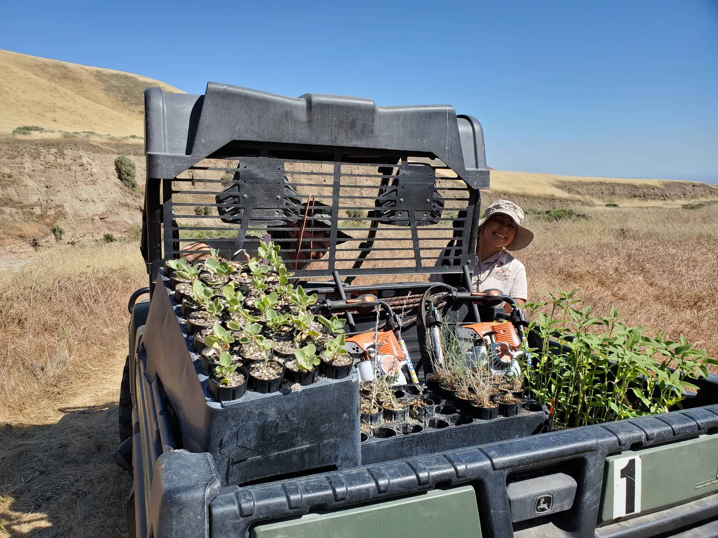 SANTIAGO CREEK RESTORATION