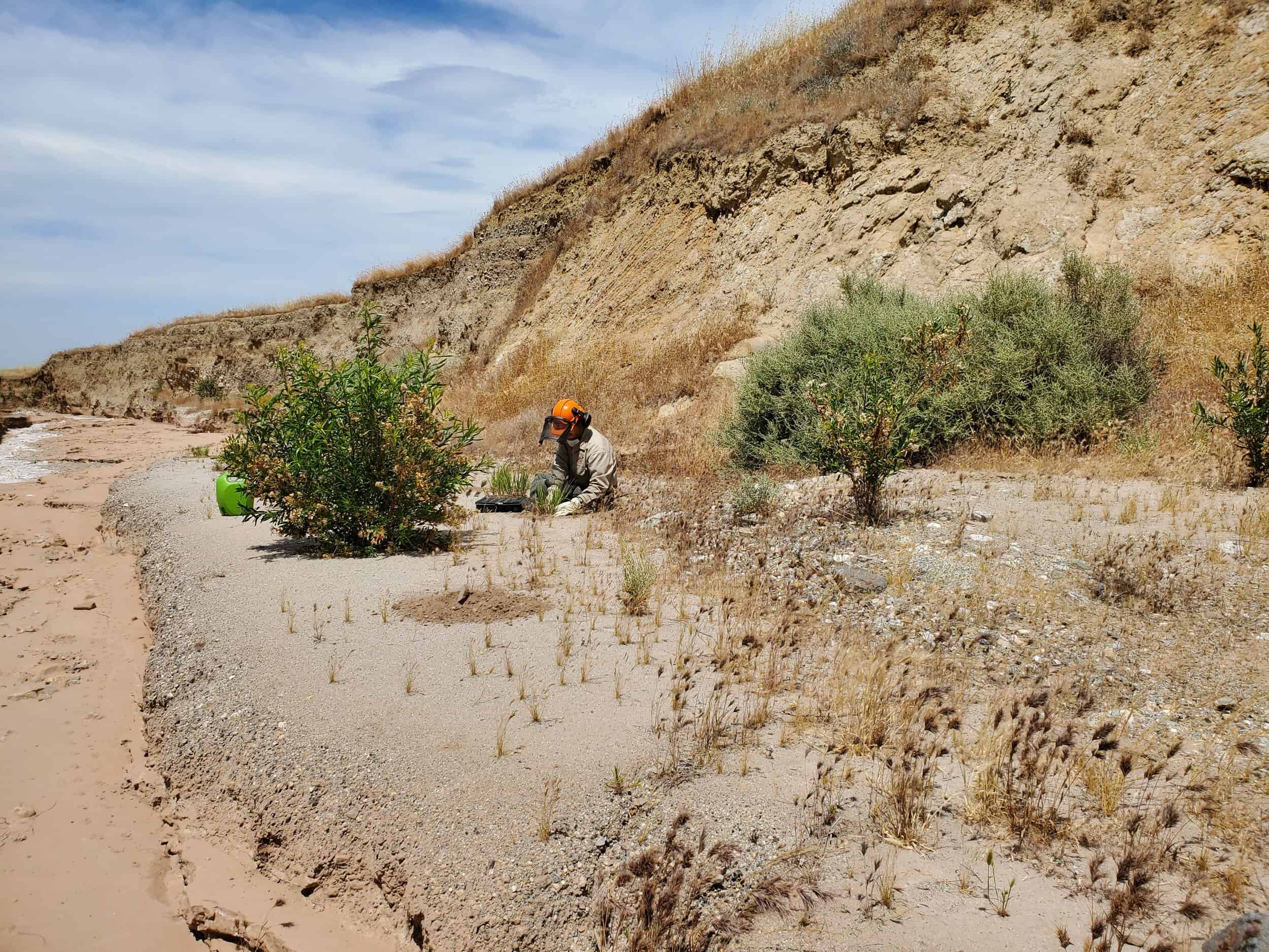 SANTIAGO CREEK RESTORATION