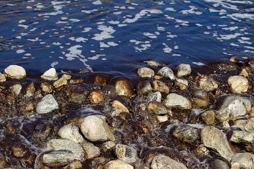 Blackwater River?