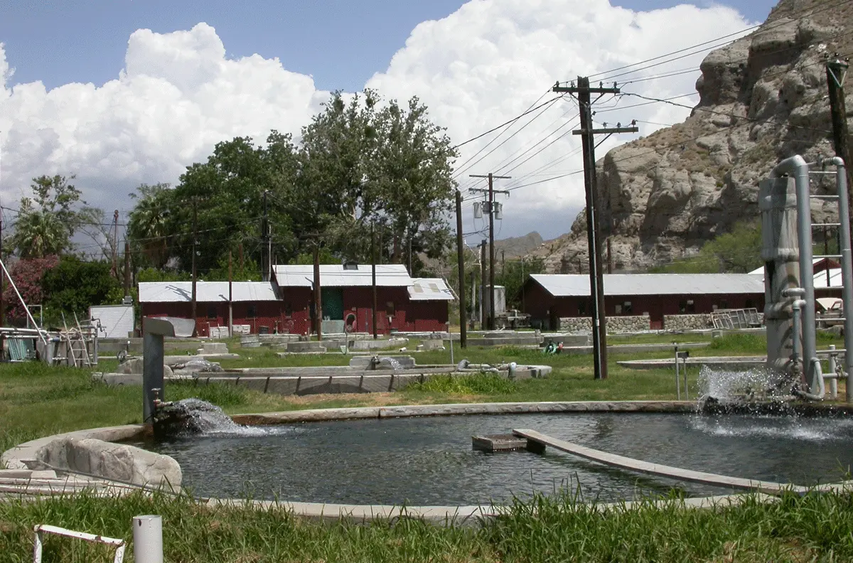 whitewater_before-after_gif