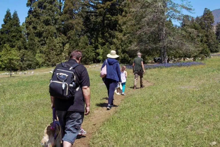 Wildflower Walks at The Wildlands Conservancy