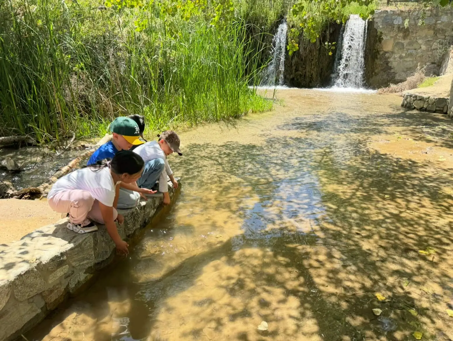 Children exploring a creek near a waterfall at The Wildlands Conservancy.