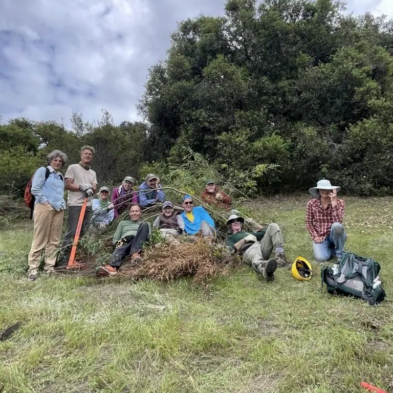 Volunteer Group Removing Invasive Plants